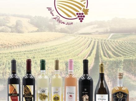 Negotino Apartment | Maksimilijan Winery Apartments & wine tasting