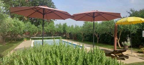 Liznjan House | Mala kuća sa velikim grijanim bazenom ANTONIO