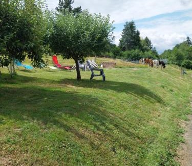 Muhlbach-sur-Bruche House | Mamie House