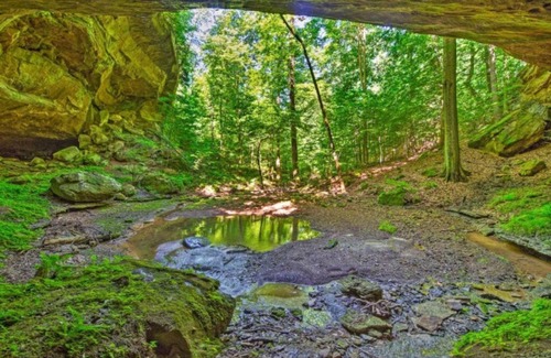 Mammoth Cave House | Mammoth Cave Cabin Rentals 7