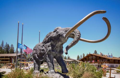 Mammoth Lakes Apartment | Mammoth View Villas 21