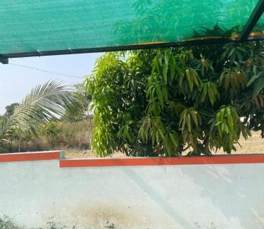 Barsi House | Mango Mist Farm Stay