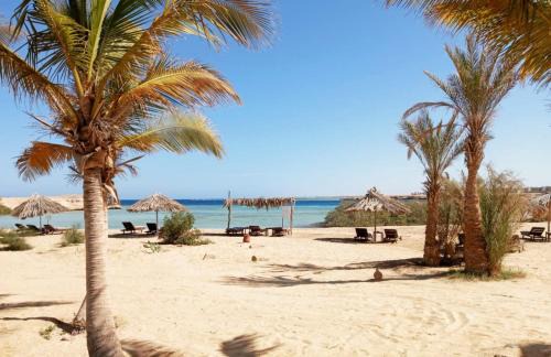 El Quseir Resort | Mangrove Bay Resort