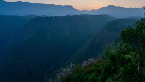 Kozhikode Hotel | Mannath Private Pool Villas at Vellarimala