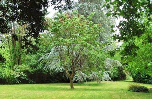 Le Fleix Villa | Manoir du Bois Mignon Luxury Home - Dordogne
