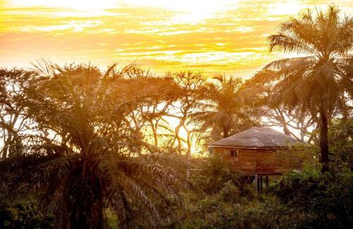 Sanyang Cabin | Mansa Musso Lodge