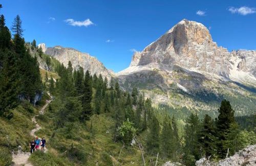 Calalzo di Cadore Apartment | Mansarda del cuore