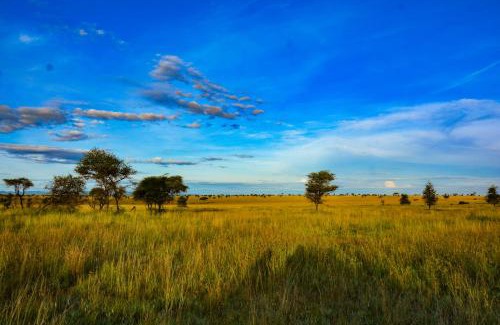 Arusha Other | Manya Luxury Camp