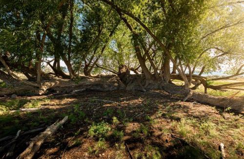 Moroni House | Maple Canyon*Pet-friendly fenced yard*RV Parking