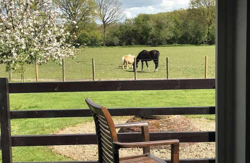 Abbess Roding Cottage | Maplehurst Barn Stables