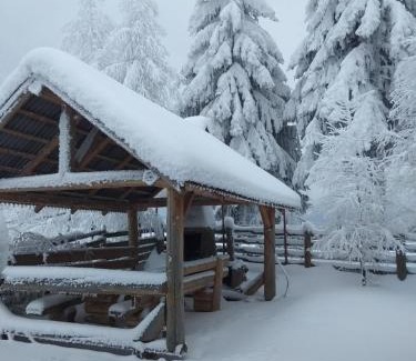 Piatra Fantanele House | Marand Log Cabin