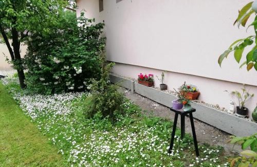 Gyula Apartment | Marcsi Apartman