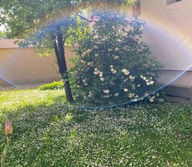 Gyula Apartment | Marcsi Apartman