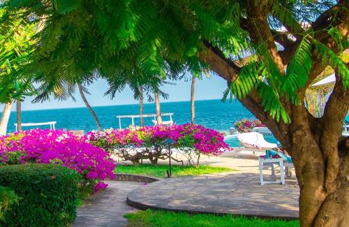 Malindi Marine National Park Apartment | MARIA, the Star on the sea beach cottages - cottage JIRANI