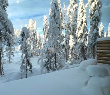 Salen House | Martebäcken 21