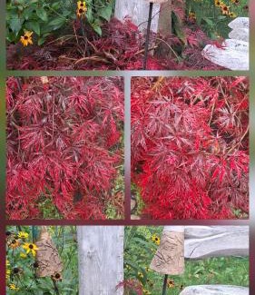 Langenchursdorf Apartment | Martha