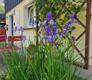 Altenberg Apartment | Marthas Stübchen