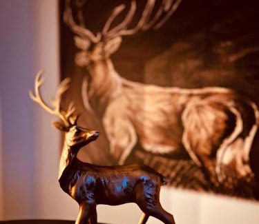 Lutowiska Villa | Marzeniówka