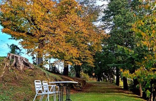 Sant Hilari Sacalm House | Mas Cal Sastre