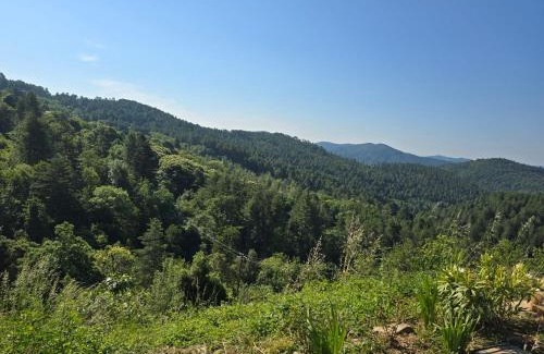 Concoules House | Mas cevennes