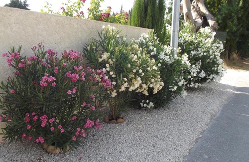 Paluds de Noves Bed & Breakfast | Mas De La Coucourde