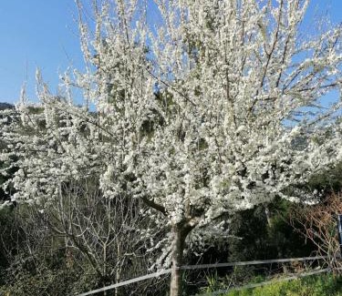 La Garriga House | MASIA CAN SUNYER AGROTURISMO