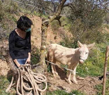 La Garriga House | MASIA CAN SUNYER AGROTURISMO