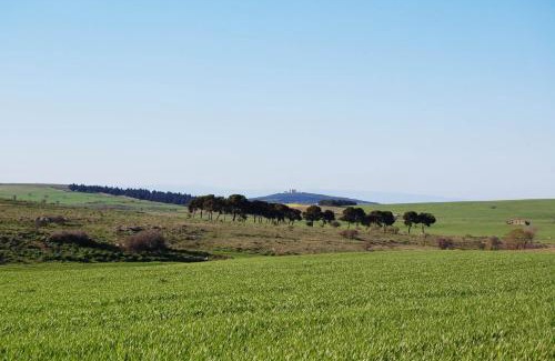 Corato House | Masseria Torre Di Nebbia