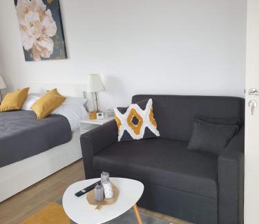 Tirgu Mures Apartment | Max Studio