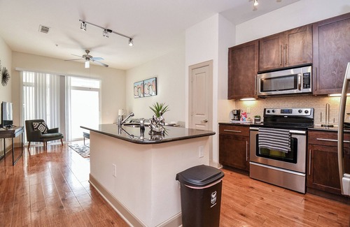 Astrodome Apartment | Med Ctr NRG Galleria Cozy 1 bed with Pool View