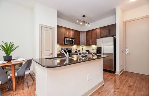 Astrodome Apartment | Med Ctr NRG Galleria Cozy 1 bed with Pool View