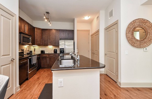 Astrodome Apartment | Med Ctr NRG Galleria Cozy 1 bed with Pool View