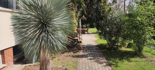 Vecses Apartment | Mediterran Garden