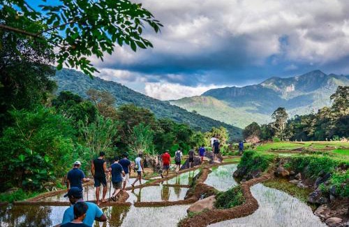 Meemure Hotel | Meemure traval master