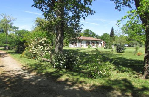 Luglon House | Menon