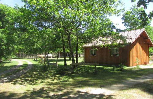 Luglon House | Menon