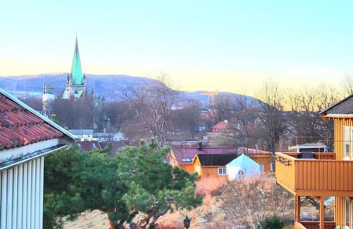 Trondheim House | Mercury House, Cathedral View ! Free Parking !