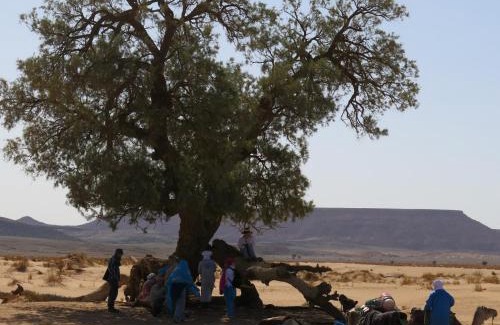 Merzouga Other | Merzouga Desert Activities & Events