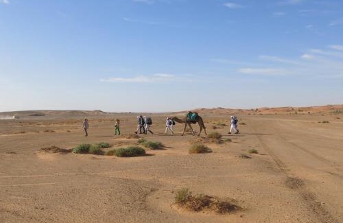 Merzouga Other | Merzouga Desert Activities & Events