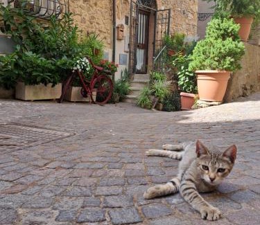 Tolfa House | MGResidenceTolfa 1