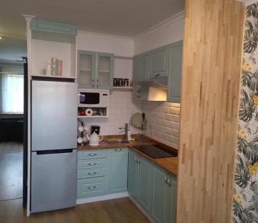 Zywiec Apartment | Miętówka