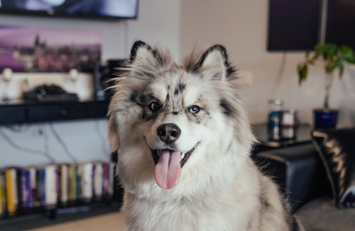 Clearing House | ✈️ 🌏 Midway Airport 2 Bedroom w/ full kitchen 🌏✈️