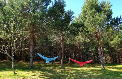 Varena Apartment | Miguičionių sodyba