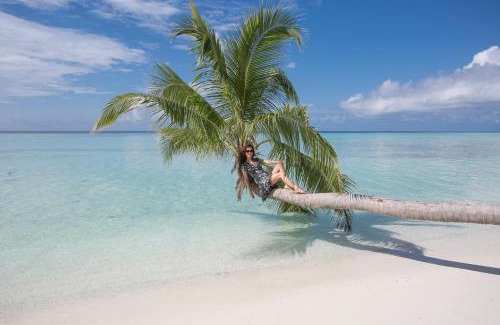 Thimarafushi House | Mikado Surf Camp