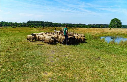 Dikbroeken Other | Mini Camping Drentse Monden