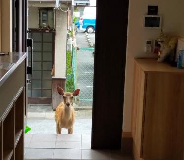Nara House | Mini inn Nara- - - 英語予約限定