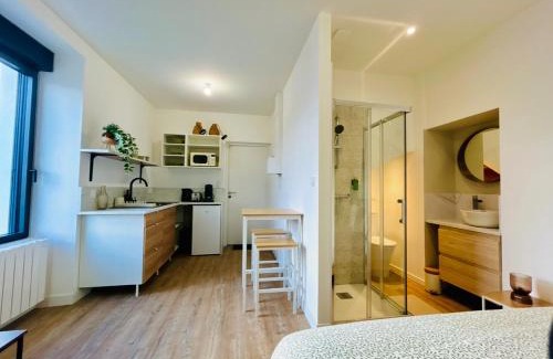 Pont-Saint-Martin Apartment | Mini Studio Tout confort - accès facile Nantes et Vendée