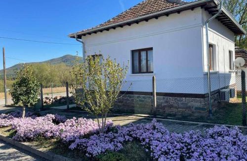 Vurshets House | Miracle Houses Къщи за гости Чудеса