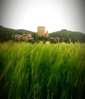 Ciudad Universitaria Other | Mirador de las estrellas