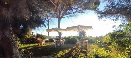 Muravera Bed & Breakfast | Mirto E Mare